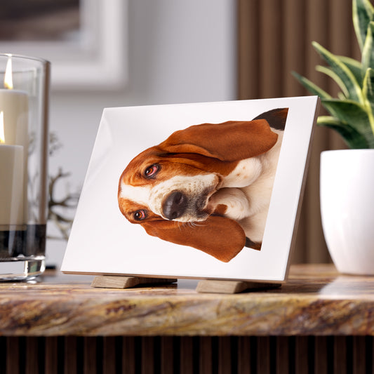 Basset Head Ceramic Photo Tile