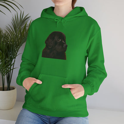 Newfie Head Unisex Hoodie
