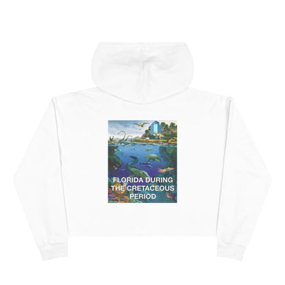 I-4 Eyesore Women's Crop Hoodie