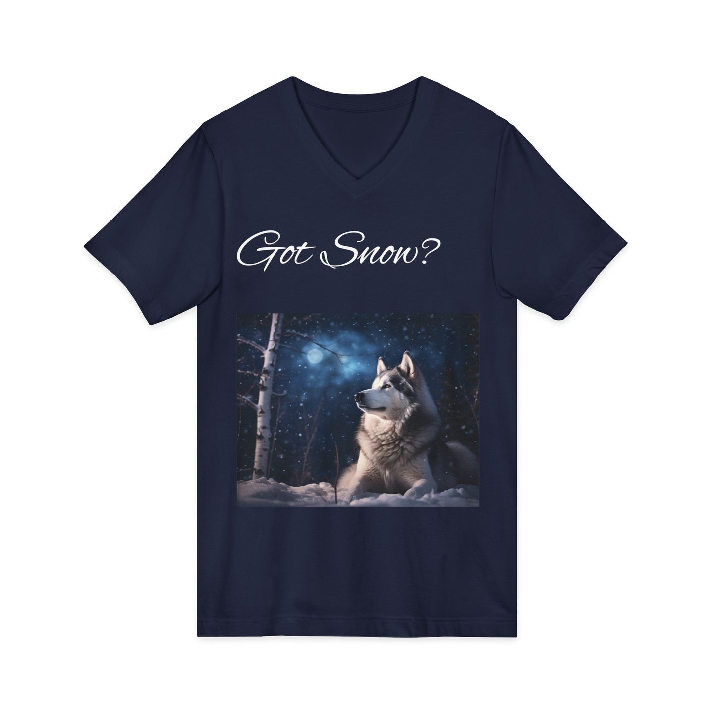 Got Snow? Unisex Short Sleeve V-Neck Tee