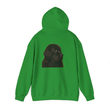 Newfie Head Unisex Hoodie