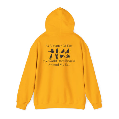Matter Of Fact Cat Unisex Hoodie