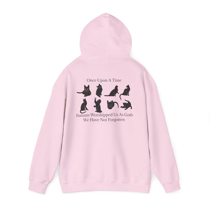 Once Upon A Time Unisex Hoodie