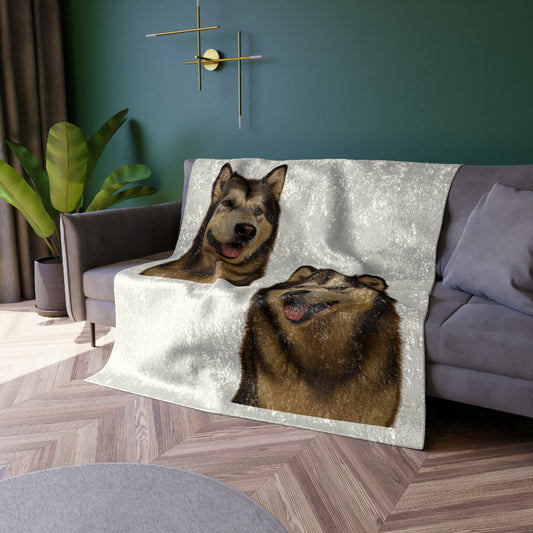 Malamute Head Crushed Velvet Blanket