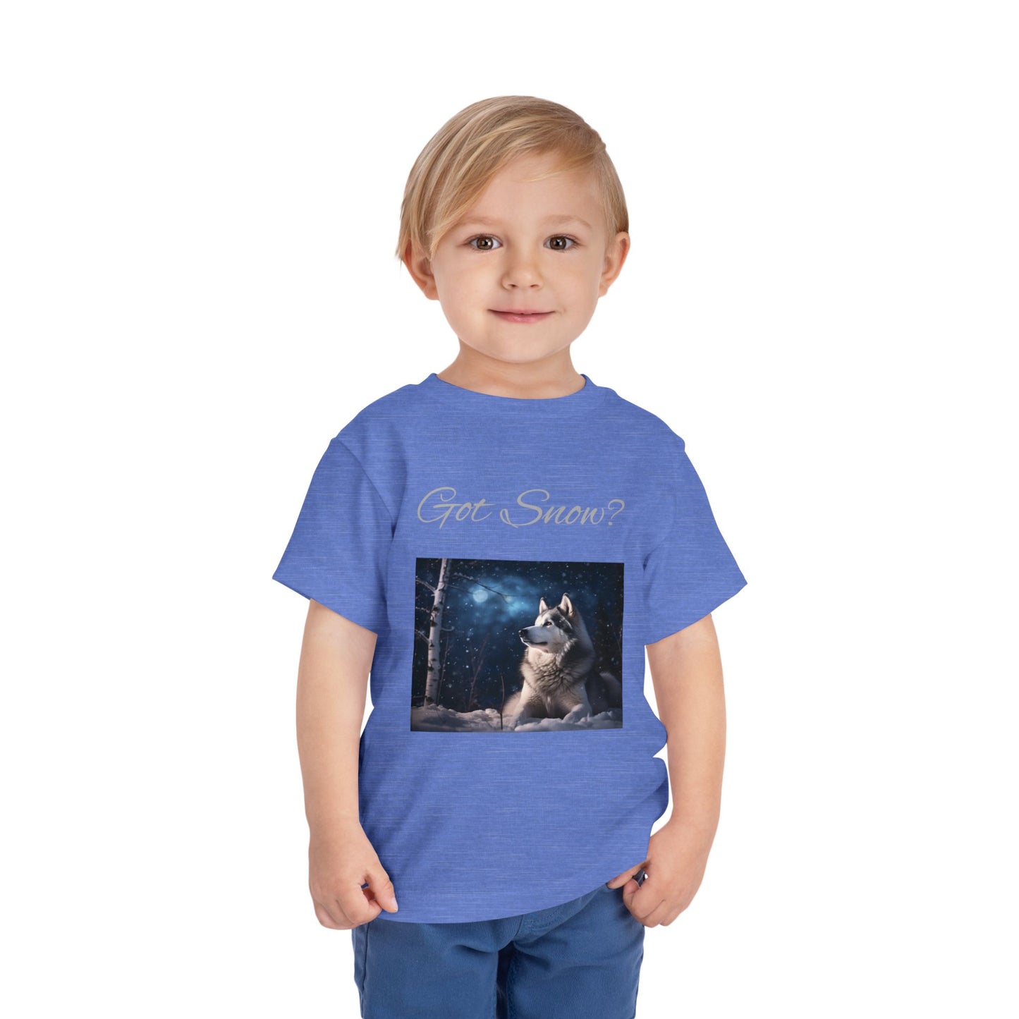 Got Snow? Toddler Unisex Short Sleeve Crewneck Tee