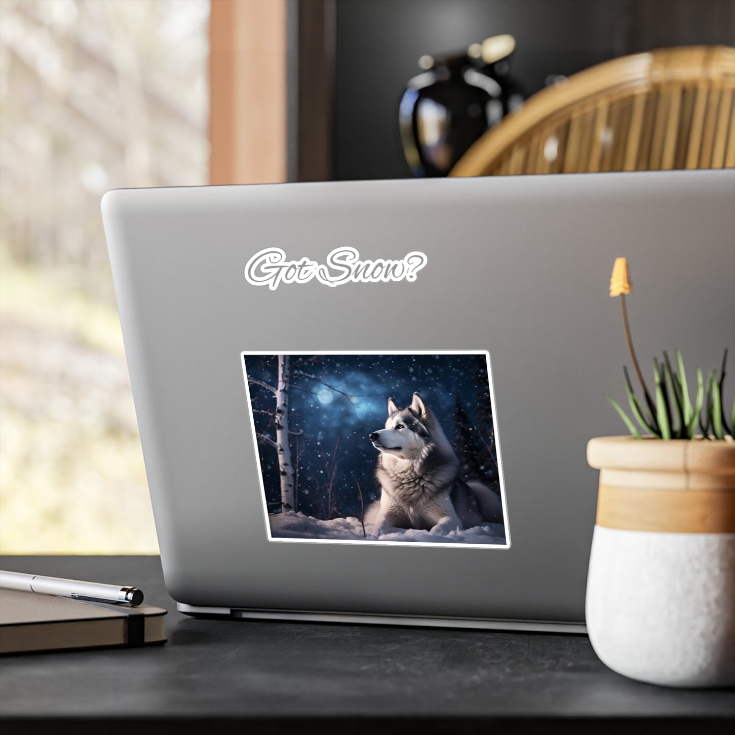 Got Snow? Vinyl Decal