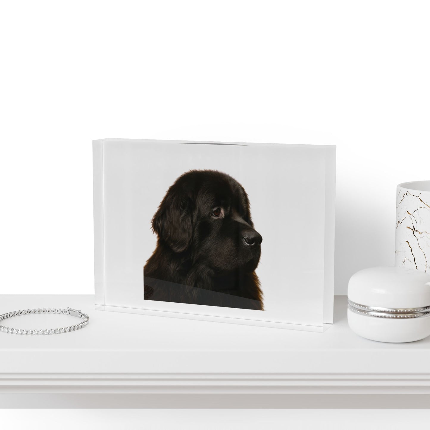 Newfie Head Acrylic Photo Block