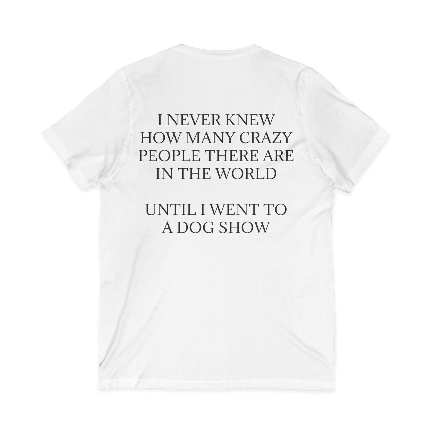 Never Knew Unisex Short Sleeve V-Neck Tee