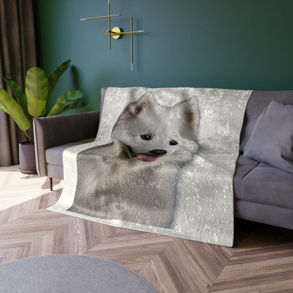 Samoyed Head Crushed Velvet Blanket