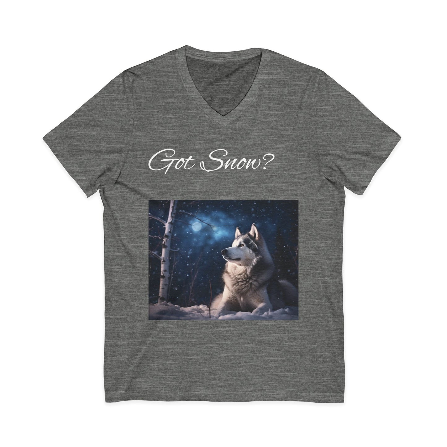 Got Snow? Unisex Short Sleeve V-Neck Tee
