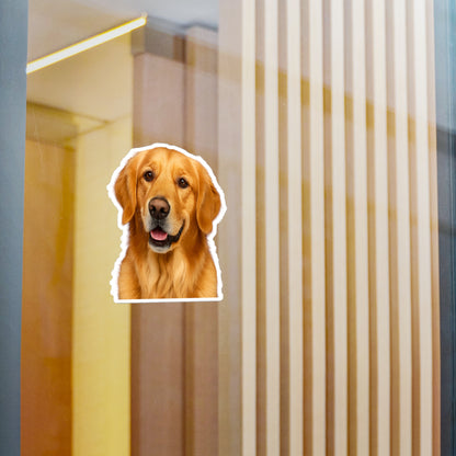 Golden Head Vinyl Decal