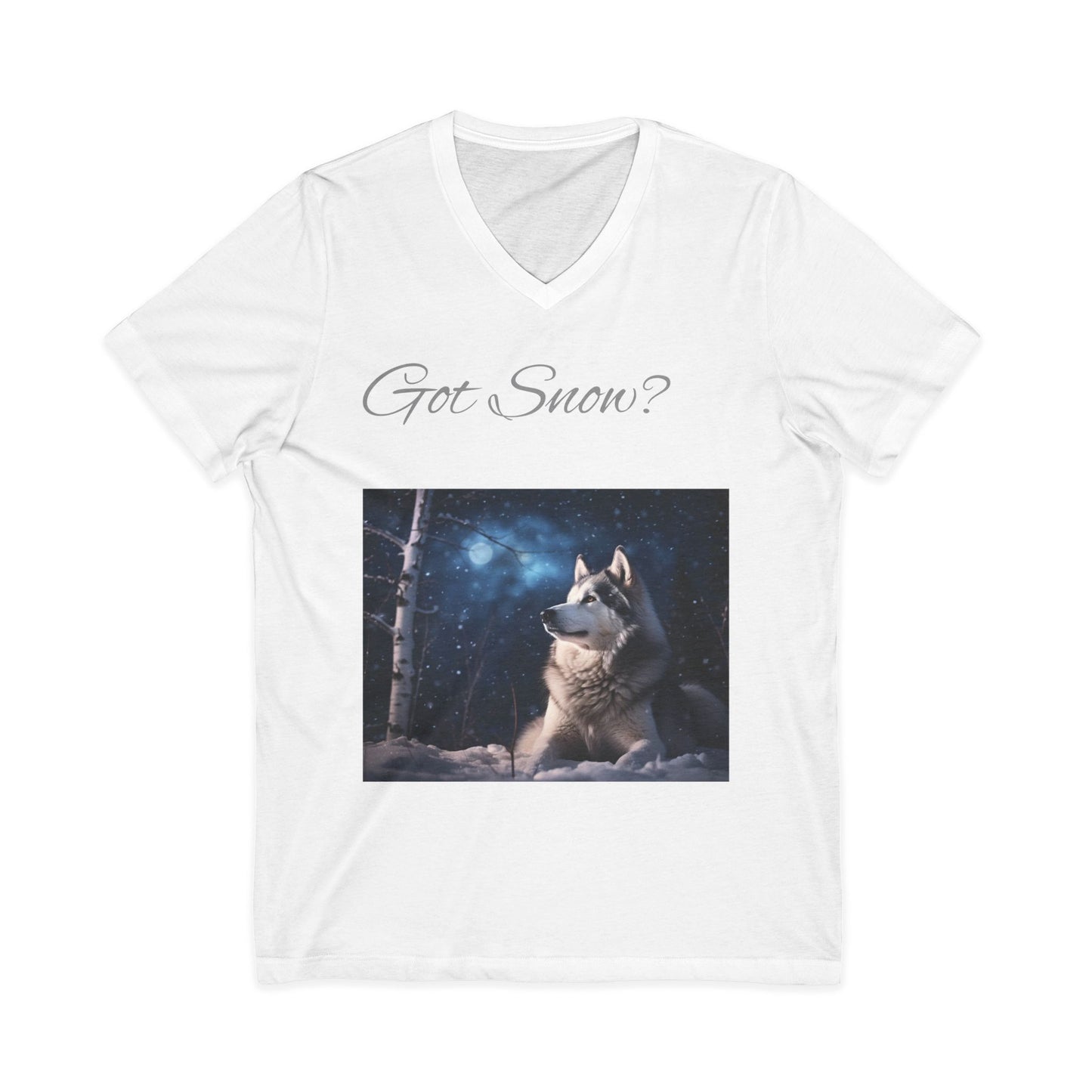 Got Snow? Unisex Short Sleeve V-Neck Tee