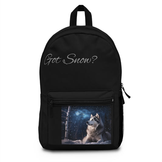 Got Snow? Backpack