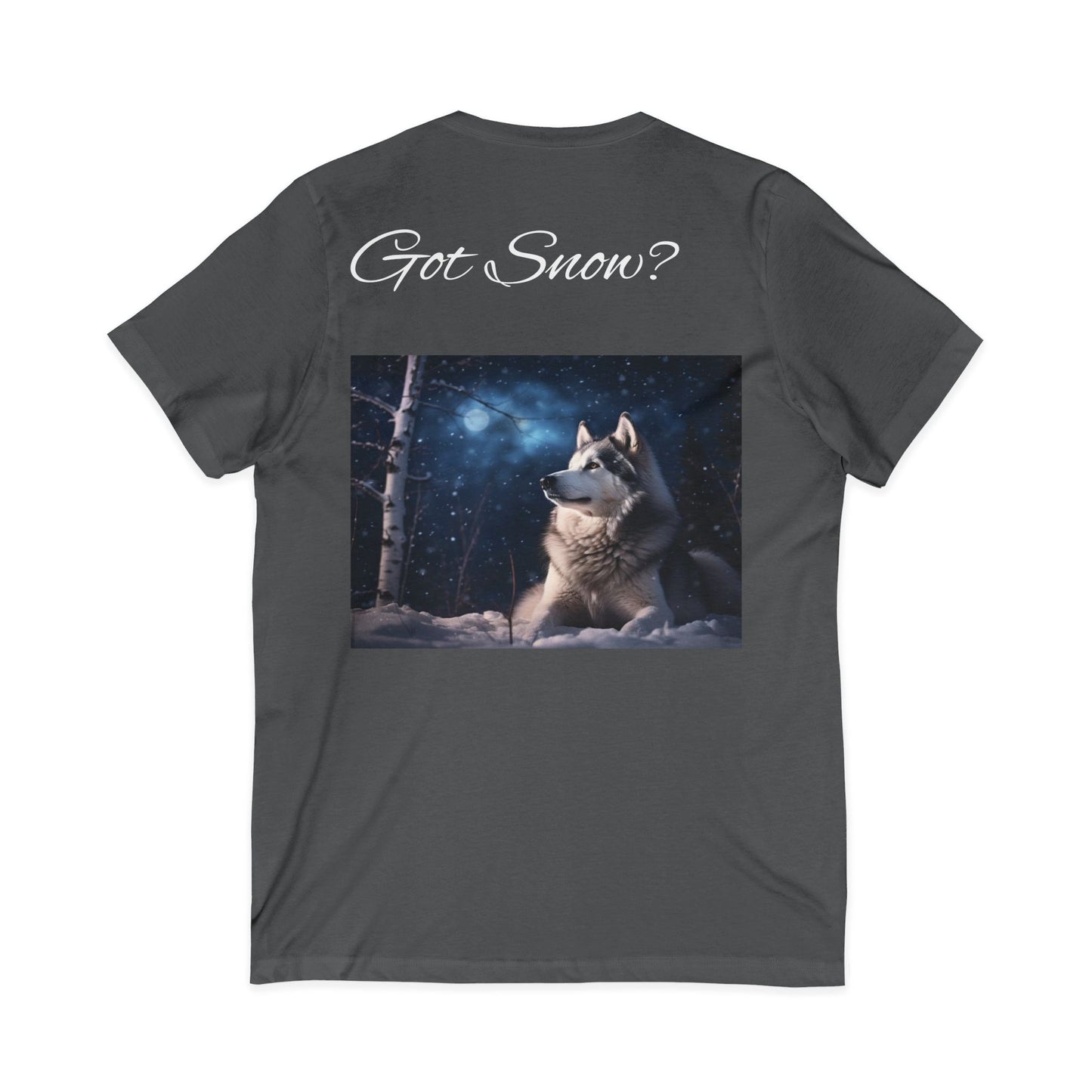 Got Snow? Unisex Short Sleeve V-Neck Tee
