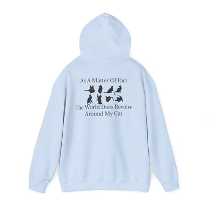 Matter Of Fact Cat Unisex Hoodie