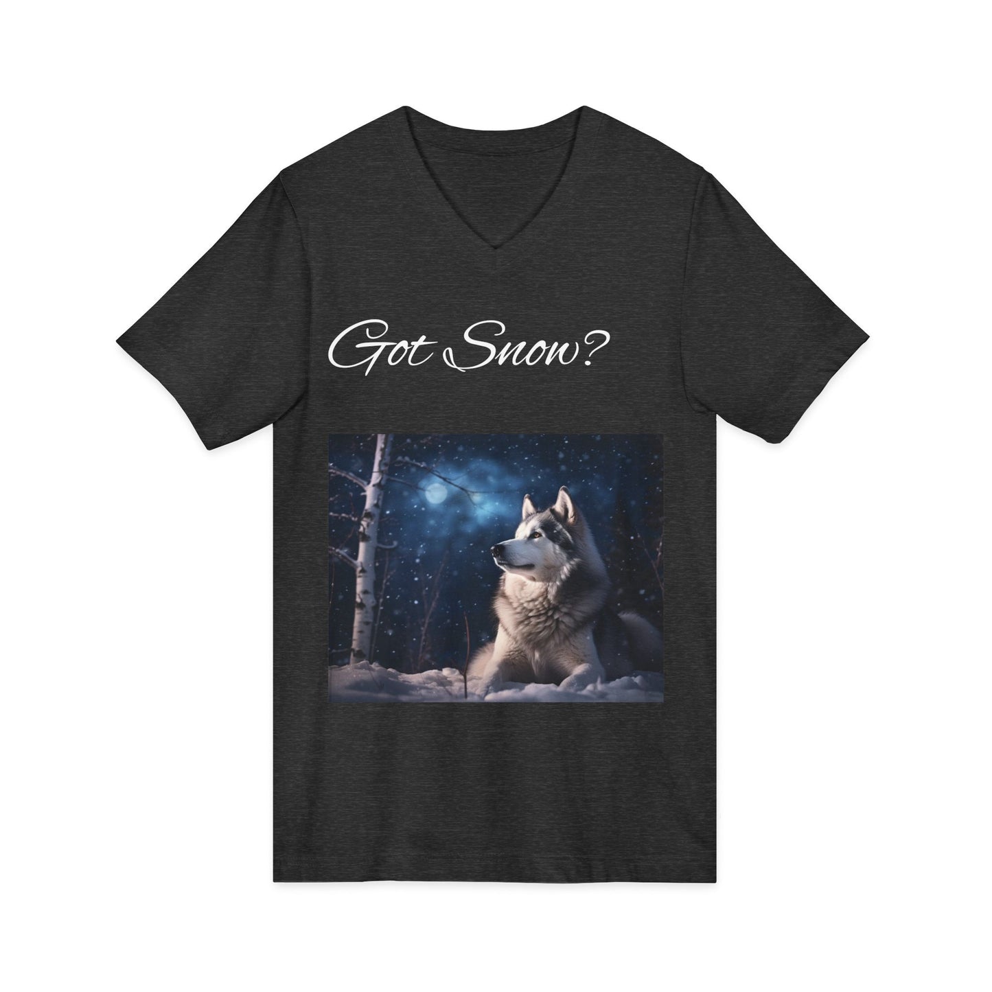 Got Snow? Unisex Short Sleeve V-Neck Tee