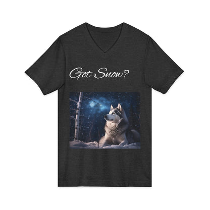 Got Snow? Unisex Short Sleeve V-Neck Tee
