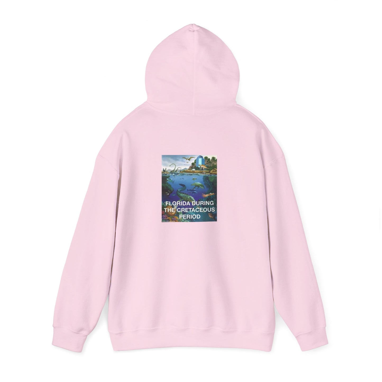 I-4 Eyesore Unisex Hoodie