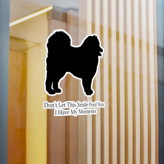 Fool You Vinyl Decal