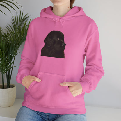 Newfie Head Unisex Hoodie