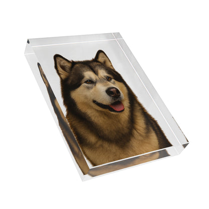 Malamute Head Acrylic Photo Block