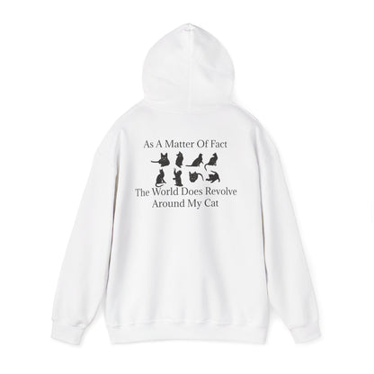 Matter Of Fact Cat Unisex Hoodie