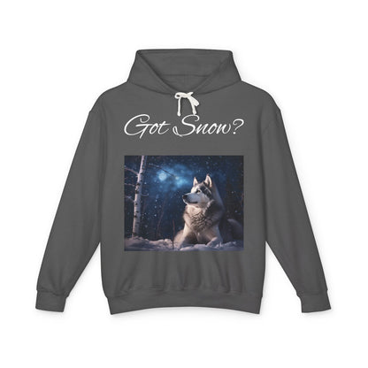 Got Snow? Unisex Lightweight Hoodie
