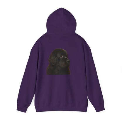 Newfie Head Unisex Hoodie