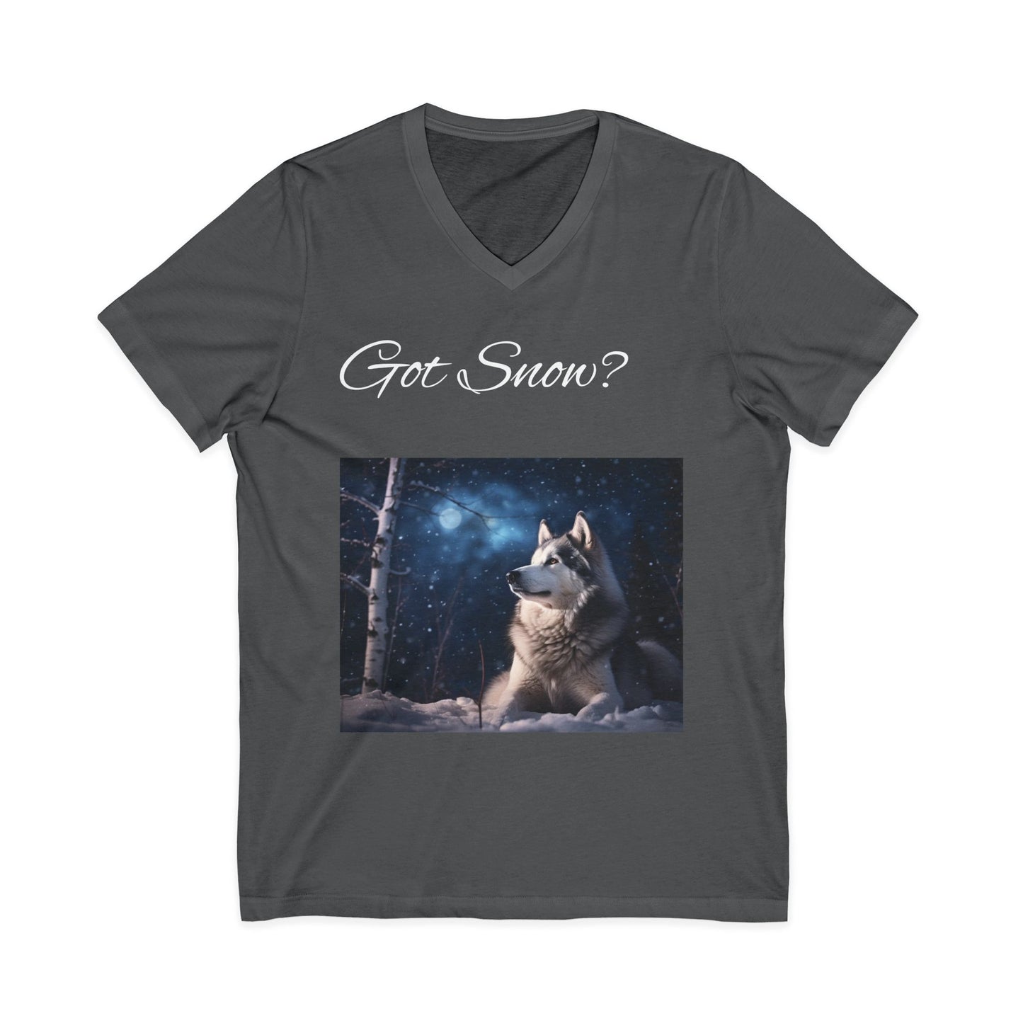 Got Snow? Unisex Short Sleeve V-Neck Tee