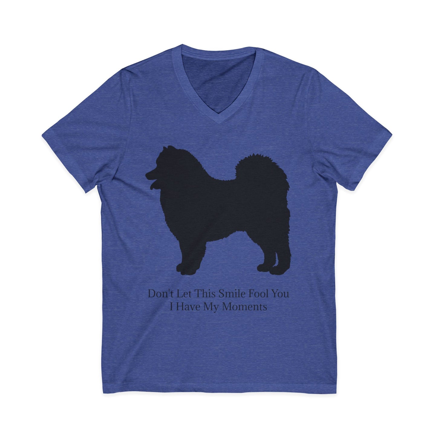 Fool You Unisex Short Sleeve V-Neck Tee