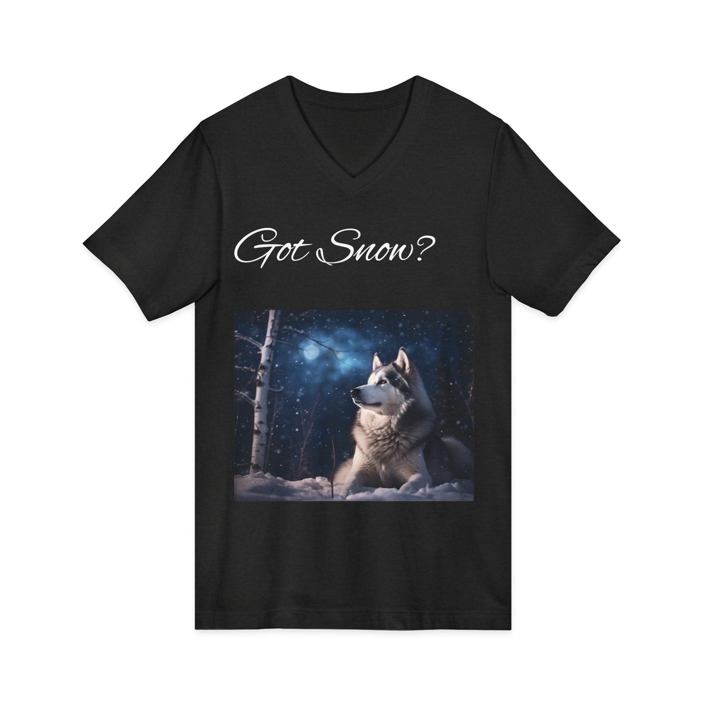 Got Snow? Unisex Short Sleeve V-Neck Tee