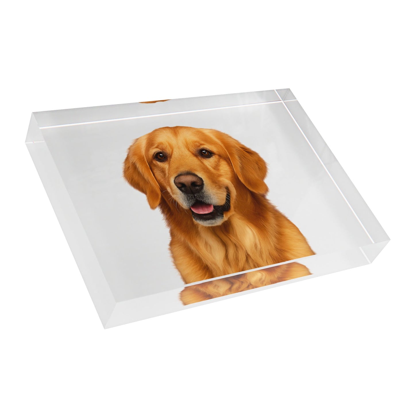 Golden Head Acrylic Photo Block