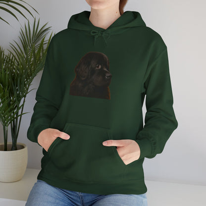 Newfie Head Unisex Hoodie