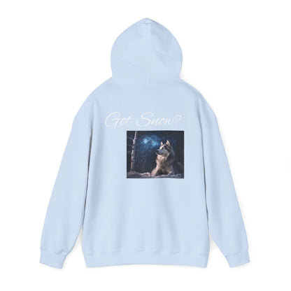 Got Snow? Unisex Hoodie