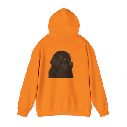 Newfie Head Unisex Hoodie