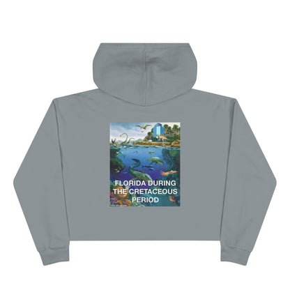 I-4 Eyesore Women's Crop Hoodie