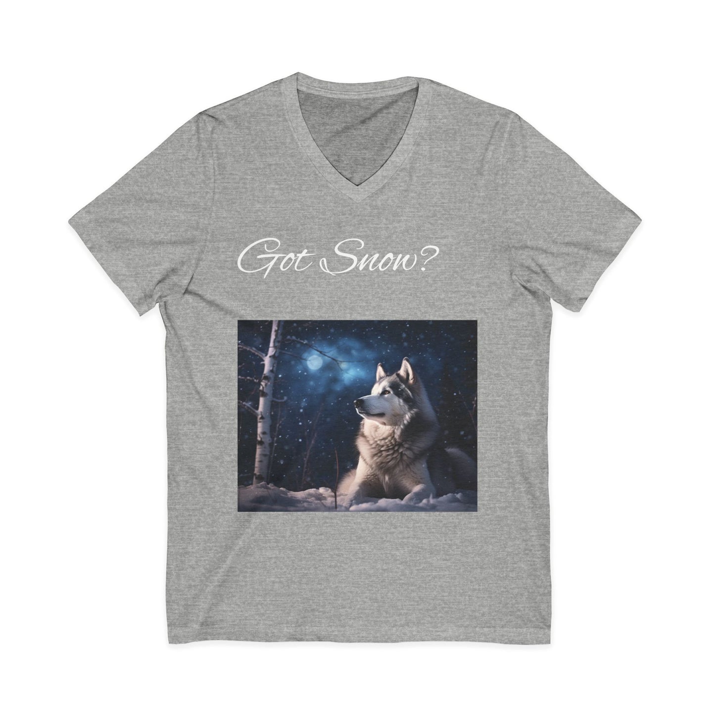 Got Snow? Unisex Short Sleeve V-Neck Tee