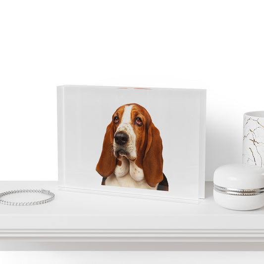 Basset Head Acrylic Photo Block