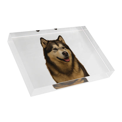 Malamute Head Acrylic Photo Block