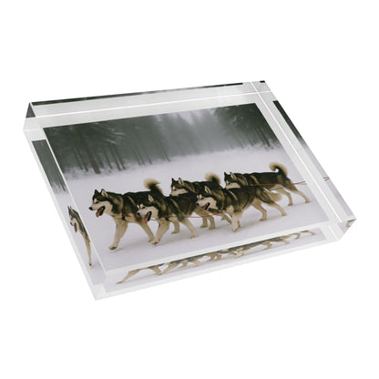 Mush On Acrylic Photo Block