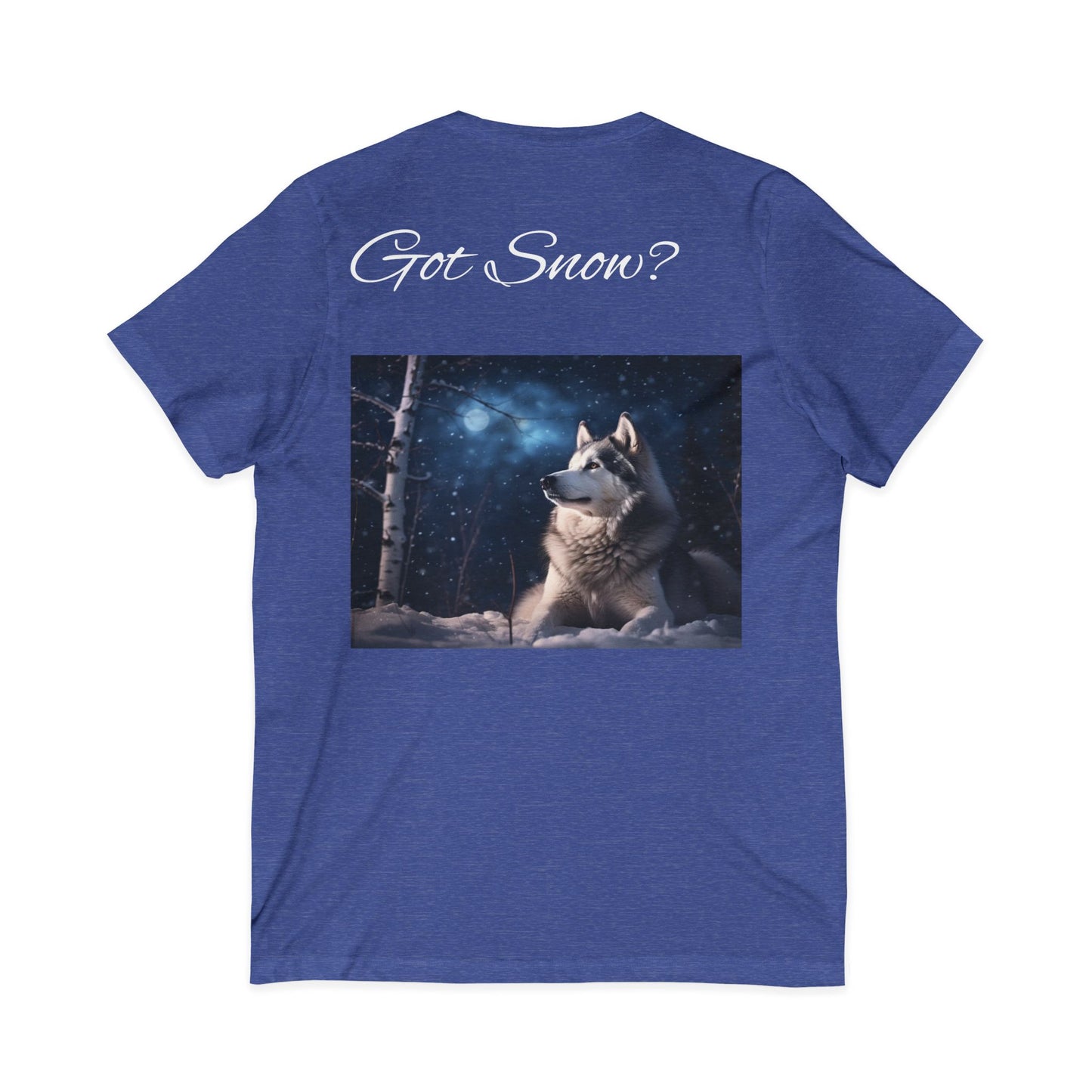Got Snow? Unisex Short Sleeve V-Neck Tee