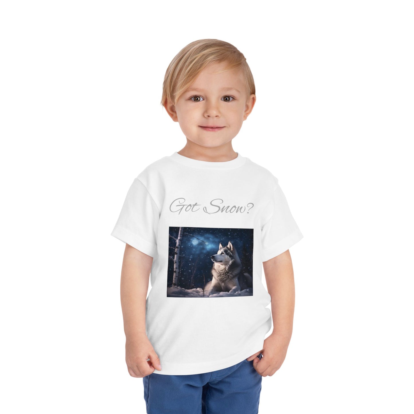 Got Snow? Toddler Unisex Short Sleeve Crewneck Tee