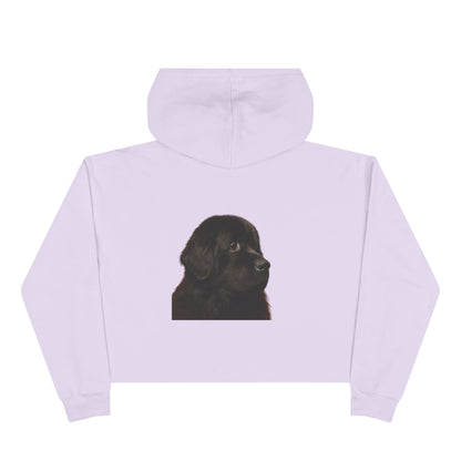Newfie Head Women's Crop Hoodie