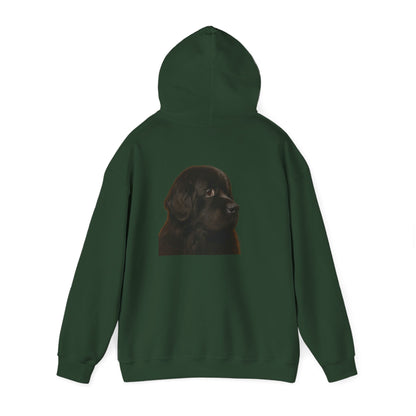 Newfie Head Unisex Hoodie