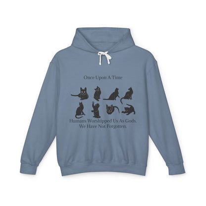 Once Upon A Time Unisex Lightweight Hoodie