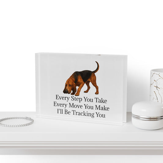 Tracking You Acrylic Photo Block