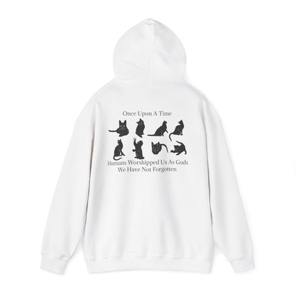 Once Upon A Time Unisex Hoodie