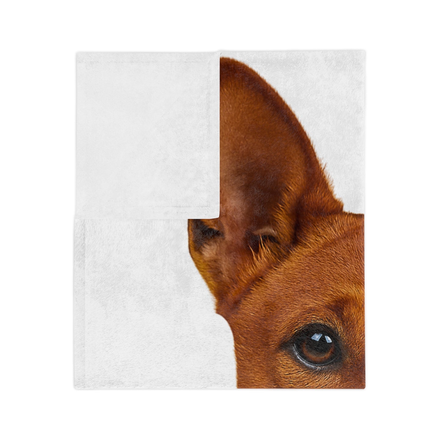 Basenji Head Velveteen Microfiber Blanket