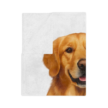 Golden Head Velveteen Microfiber Blanket