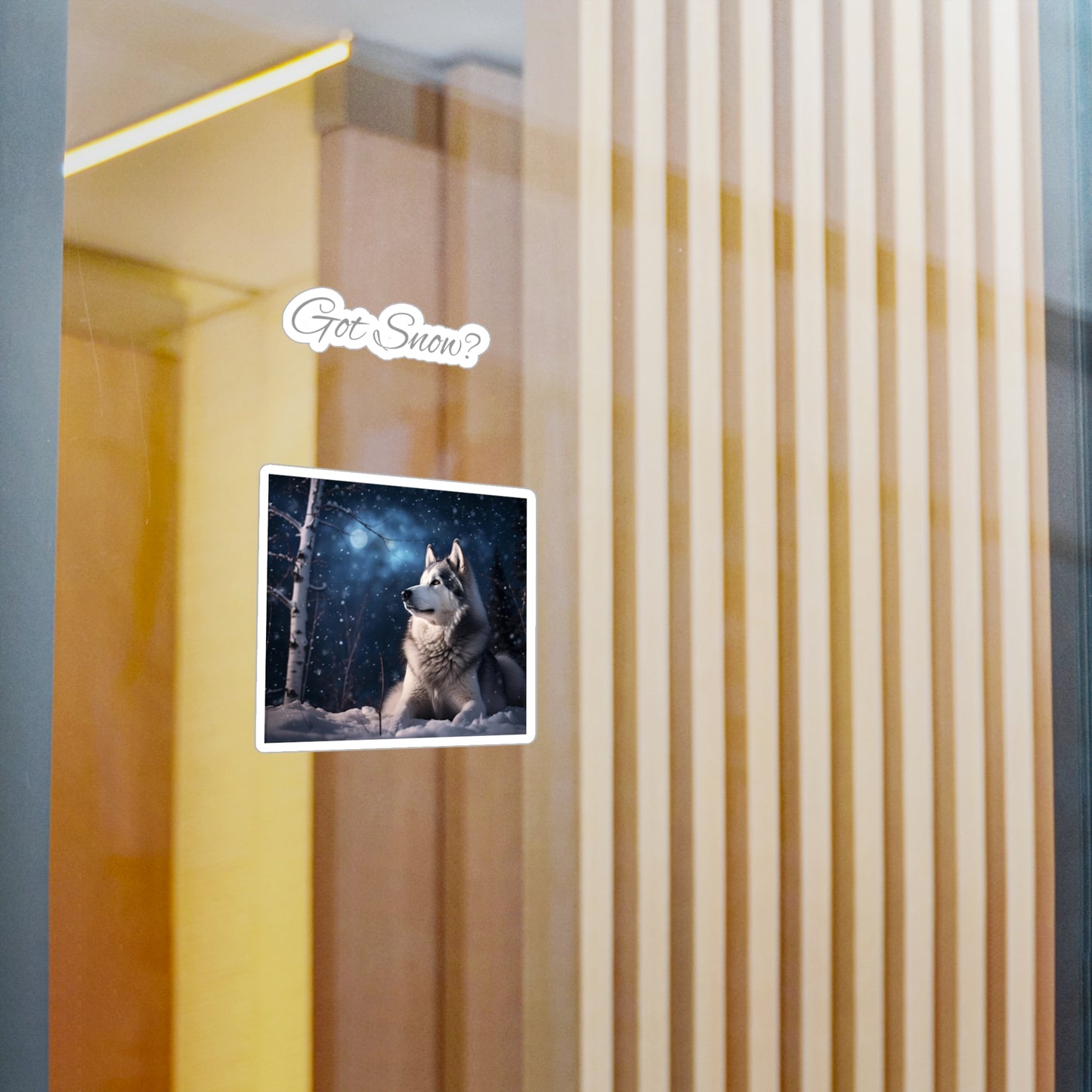 Got Snow? Vinyl Decal